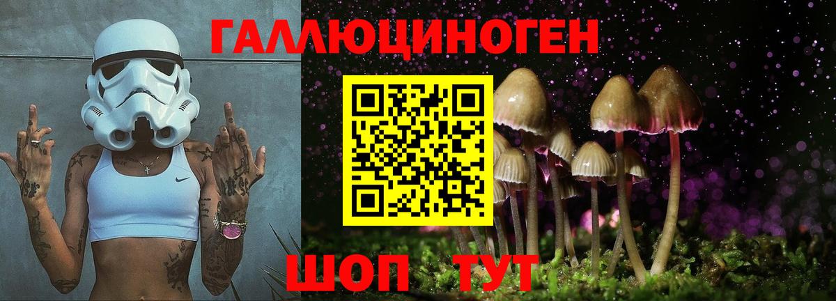 Галлюциногенные грибы Cubensis Нарткала