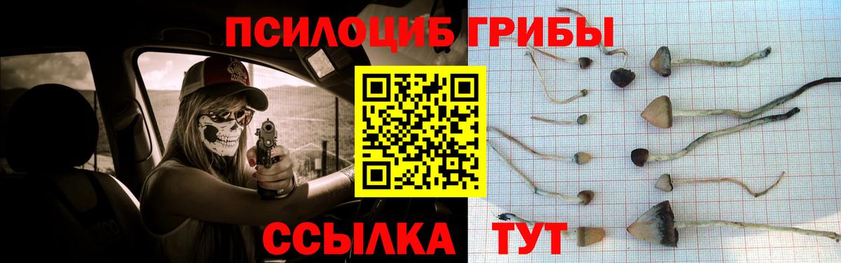 купить   Галлюциногенные грибы мицелий  Вход с VPN  Галлюциногенные грибы MAGIC MUSHROOMS  Нарткала 